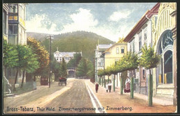 Künstler-AK Gross-Tabarz Im Thür. Wald, Zimmerbergstrasse Mit Dem Zimmerberg - Tabarz