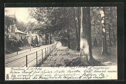 AK Pinneberg, Blick Auf Die Bahnhofsstrasse - Pinneberg