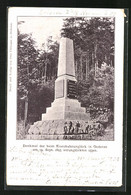 AK Oederan, Denkmal Vom Eisenbahnunglück 1895 - Oederan