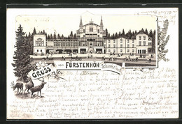 Vorläufer-Lithographie Schierke /Harz, 1895, Darstellung Des Gasthauses Fürstenhöh - Schierke
