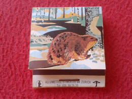 CAJA CERILLAS MATCHBOX BOÎTE D'ALLUMETTES CASTOR BIER BIÈRE BIRRA CERVEZA? 1970 AÑO DE LA NATURALEZA ANNÉE NATURE BEAVER - Boites D'allumettes