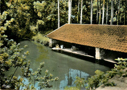 Lardy * Le Lavoir Sur La Juine * Laveuse - Lardy