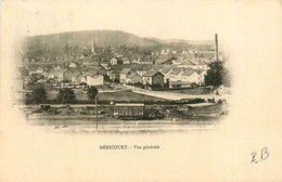 Héricourt * Vue Générale Du Village * Train Gare Ligne Chemin De Fer De Haute Saône - Autres & Non Classés