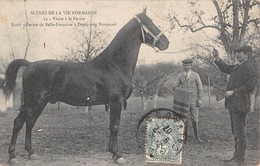 CPA 14 SCENES DE LA VIE NORMANDE VISITE A LA FERME RUSSY FERME DE BELLE FONTAINE DEMI SANG NORMAND - Autres & Non Classés