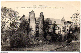 46 ( Lot )  -  ASSIER - Le Chateau, Vue D'ensemble Prise Du Coté Du Parc - Assier
