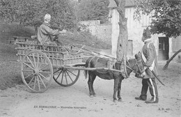 CPA 14 EN NORMANDIE MAUVAISE RENCONTRE - Autres & Non Classés