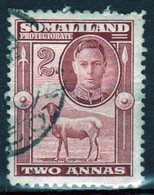 Somaliland Protectorate 1942 George VI Single Two Anna  Stamp In Fine Used - Somaliland (Protectoraat ...-1959)