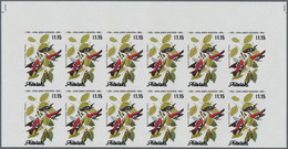 Aitutaki: 1973/1990 (ca.), Duplicated Accumulation In Large Box With Mostly IMPERFORATE Single Stamp - Aitutaki