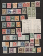 Jordanien: 1927/1988, A Splendid Mint Collection In A Stockbook, Almost Exclusively Never Hinged, Co - Jordania