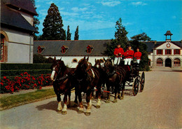 Lamballe * Les Haras * Attelage à Quatre Postiers Bretons * Chevaux - Lamballe