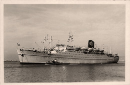 LYAUTEY CNP * Carte Photo * Bateau Cargo Paquebot Commerce Marine Marchande ? Compagnie PAQUET Paquet - Handel