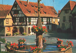 DAMBACH LA VILLE : FONTAINE FLEURIE - Dambach-la-ville