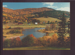 Carte Postale  Grand Format ( 17 X 12 Cm ) Canada " Margaree River " - Modern Cards