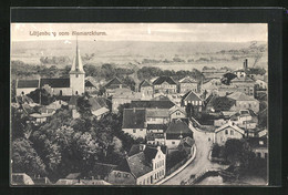 AK Lütjenburg, Ortsansicht Vom Bismarckturm - Lütjenburg