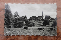 ENVIRONS DE LONGNY-AU-PERCHE (61) - VUE DE LA FOSSE AUX LOUPS - Longny Au Perche