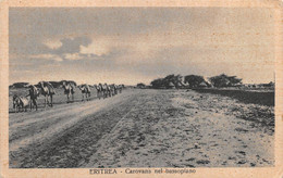 09615 "ERITREA - CAROVANA NEL BASSOPIANO"  CART. ORIG. NON SPED. - Erythrée