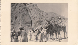 Photographie - Croisière En Méditerranée - Tunisie - Tozeur - Le Belvédère - Fotografie