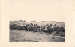 Photographie - Croisière En Méditerranée - Maroc - Tinghir Tinerhir - Le Gîte D'étape Et Les Palmiers - Fotografie