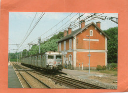 SAINT-GERMAIN-les-BELLES  ( HAUTE-VIENNE )  GARE Et TRAIN  Achat Immédiat - Saint Germain Les Belles