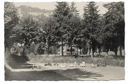 CPSM VILLARS SUR OLLON, LES TROUBADOURS, UNE PARTIE DU PARC, VOITURES A PEDALES, TROTINETTES, BERCEAU, SUISSE - Ollon