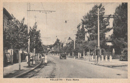 VELLETRI - VIALE ROMA - Velletri
