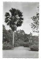 CPSM BAMAKO, LE MONUMENT BORGNIS - DESBORDES, Format 9 Cm Sur 14 Cm Environ, MALI - Mali