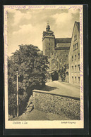 AK Colditz I. Sa., Schloss-Eingang - Colditz