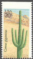 U.S.A. (1981b) Saguaro Cactus. Misperforation Resulting In Removal Of Wording At Bottom And Imperforate Top. Scott 1945 - Variétés, Erreurs & Curiosités