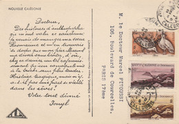 NOUVELLE CALEDONIE NOUMEA CARTE PUB IONYL - POUR PARIS - Lettres & Documents