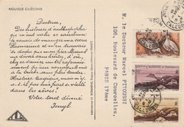 NOUVELLE CALEDONIE NOUMEA CARTE PUB IONYL - POUR PARIS - Storia Postale