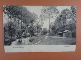 Verliefde Boomen, Valkenburg - Valkenburg