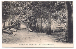 Castelnau-le-lez  , Vue Du Parc De Montplaisir - Castelnau Le Lez