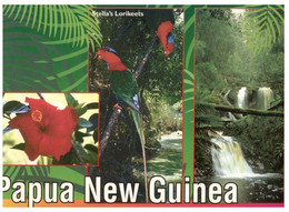 (RR 11) Papua New Guinea - Rainforest (waterfall - Flowers - Birds) - Vogels