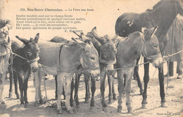 CPA 16 COGNAC MAISON ALBERT ROBIN COUR INTERIEURE DE L'ETABLISSEMENT - Cognac