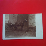 CARTE PHOTO LIEU A IDENTIFIER ATTELAGE CHEVAL - Horses