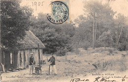 17-ENVIRONS DE ROYAN- LA FORÊT DE LA COUBRE - Royan