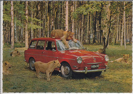 GÄNSERNDORF - Safari Park, Löwen, Lions, Leu, Leoni Auf VW Variant Typ 3 - Gänserndorf