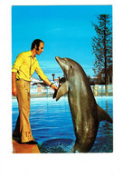 Cpm - 06 - ANTIBES - MARINELAND - Spectacle Dauphin - LE BONJOUR DE SPLASH - R.E.P.N°135 - Homme Sifflet - Dauphins