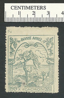 119-53 FRANCE Bonne Annee 1920 Stamp Arcachon Pale Grey Green Thin - Vignetten (Erinnophilie)