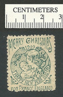 119-55 FRANCE ENGLAND Bonne Annee 1920 Stamp Christmas Green MHR - Vignetten (Erinnophilie)
