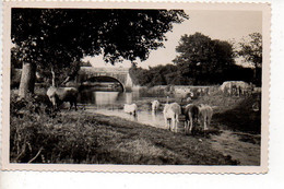 Aizenay : Pont Du Godran Sur La Vie - Aizenay