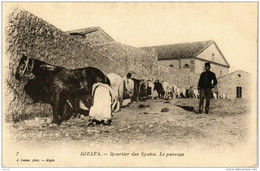 CPA AK Geiser 7 DJELFA - Quartier Des Spahis Le Pansage. ALGERIA (764526) - Djelfa