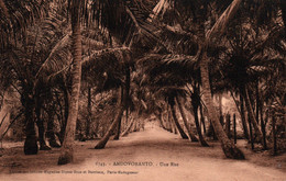 Madagascar - Andovoranto - Une Rue Sous Les Palmiers - Edition Grands Magasins Gros - Carte N°6743 Non Circulée - Madagaskar