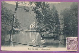 Bad Bertrich - Schwanenteich - Gelauft 1909 - Bad Bertrich