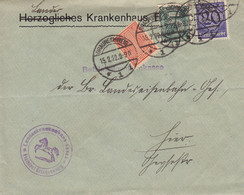 Deutsches Reich HERZOGLICHES (Erased) KRANKENHAUS, BRUNSCHWEIG 1922 Cover Brief Horse Pferd Cheval Cachet - Dienstmarken