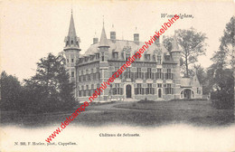 Château De Selsaete - Wommelghem - F. Hoelen 588 - Wommelgem - Wommelgem