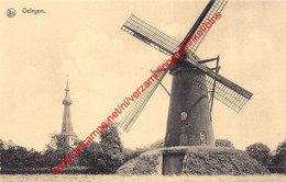 Molen - Oelegem Ranst - Ranst