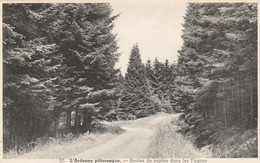 Région MALMEDY  WAIMES HAUTES FAGNES - Waimes - Weismes