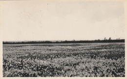 Région MALMEDY  WAIMES HAUTES FAGNES - Weismes