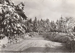 Région MALMEDY  WAIMES HAUTES FAGNES - Weismes